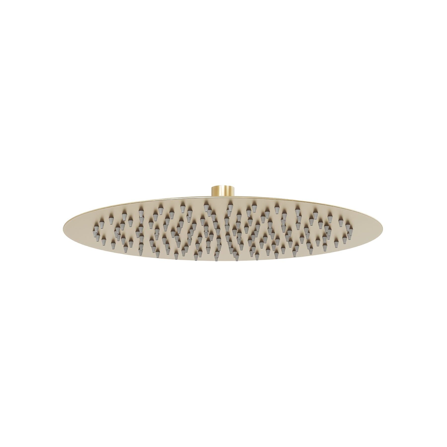 Eterno Rain Duş Başlığı - Brushed Gold